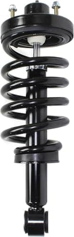 Set of 2 Rear Spring Struts Assembly with Twin-tube Right Passenger & Left Driver Side for 2007-2017 Ford Expedition & 2007-2017 Lincoln Navigator