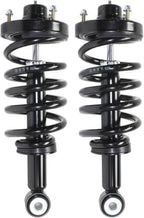 Set of 2 Rear Spring Struts Assembly with Twin-tube Right Passenger & Left Driver Side for 2007-2017 Ford Expedition & 2007-2017 Lincoln Navigator